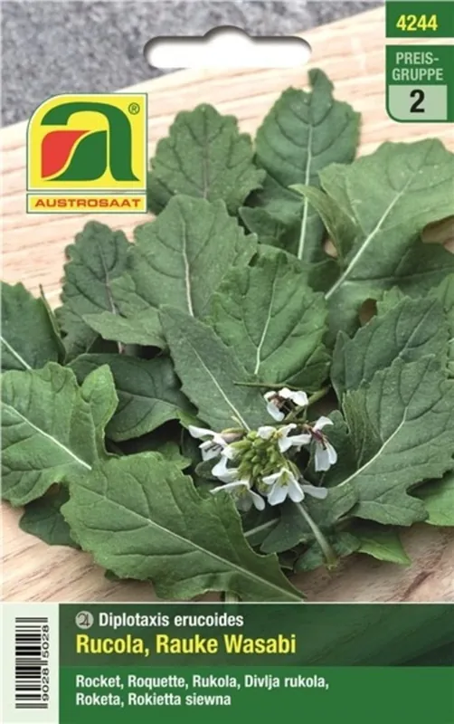 Premium - AUSTROSAAT Rucola, Rauke Wasabi
