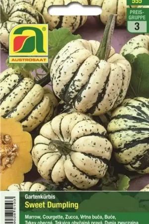 Actieprijs | AUSTROSAAT Pompoen, Sweet Dumpling