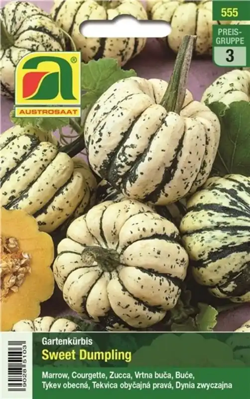 Actieprijs | AUSTROSAAT Pompoen, Sweet Dumpling