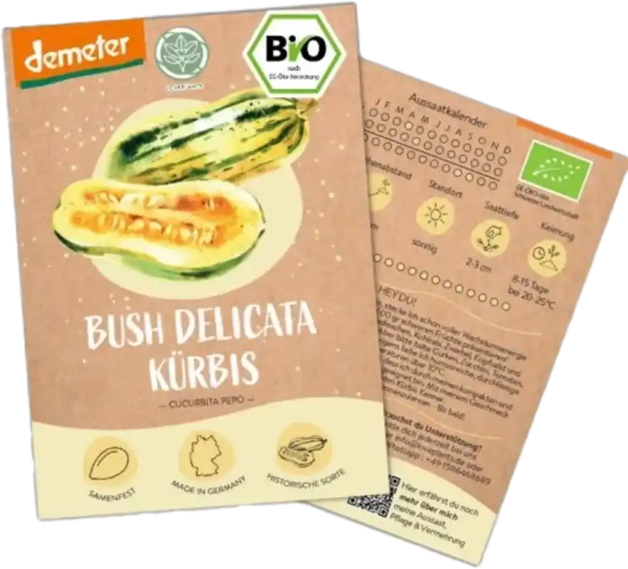 Bestel nu - LOVEPLANTS Biologische Pompoen “Bush Delicata”