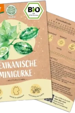 LOVEPLANTS Biologische Mexicaanse Minikomkommers | Eenvoudig retourneren