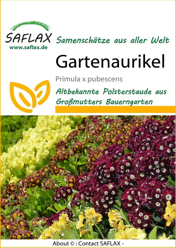 Superprijs | Saflax Sleutelbloem