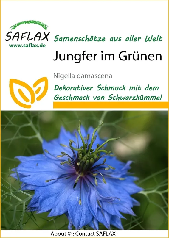 Saflax Juffertje-In-Het-Groen - Topkwaliteit