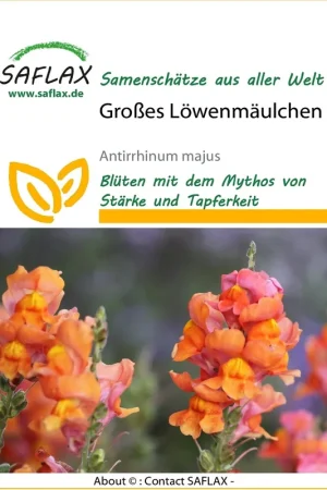 Nieuw in de shop - Saflax Leeuwebek