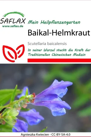 Actieprijs - Saflax Baikla Glidkruid