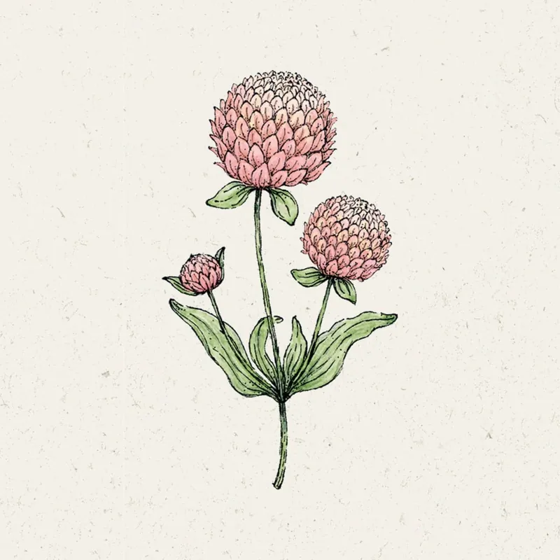 Jora Dahl Bolamarant "Salmon Pastel" | Net binnen