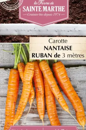 La Ferme de Sainte Marthe Wortel "Nantaise 2" Zaadband - Rechtstreeks van de fabrikant