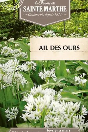 Nu beschikbaar - La Ferme de Sainte Marthe Wilde Knoflook