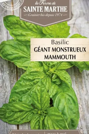Topproduct | La Ferme de Sainte Marthe Basilicum "Géant Monstrueux Mammouth"