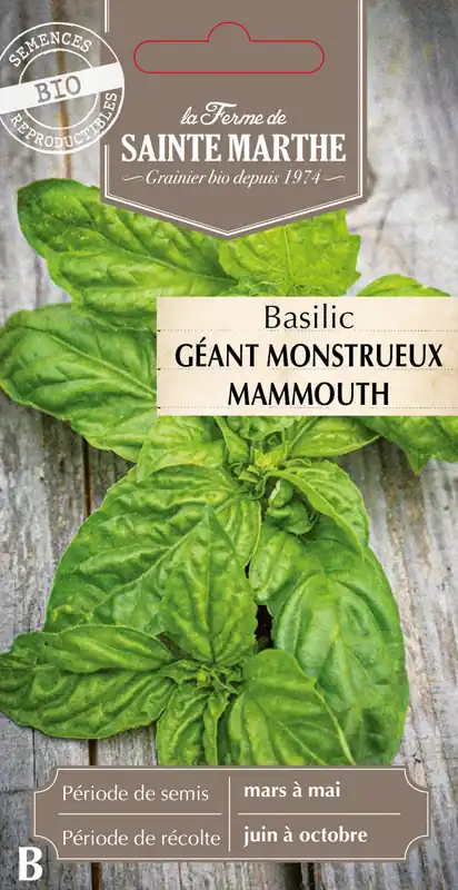 Topproduct | La Ferme de Sainte Marthe Basilicum "Géant Monstrueux Mammouth"