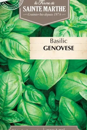Veel gevraagd | La Ferme de Sainte Marthe Basilicum "Genovese"