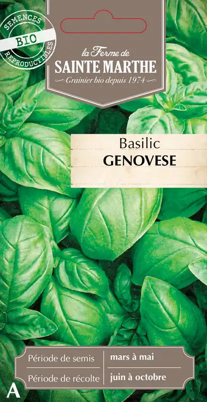 Veel gevraagd | La Ferme de Sainte Marthe Basilicum "Genovese"