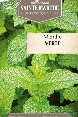 Direct leverbaar - La Ferme de Sainte Marthe Munt "Verte"
