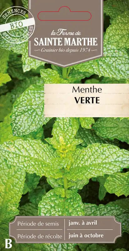 Direct leverbaar - La Ferme de Sainte Marthe Munt "Verte"