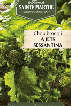 Dagdeal - La Ferme de Sainte Marthe Broccolikool "à Jets Sessantina"