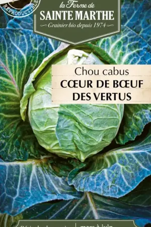 La Ferme de Sainte Marthe Kool "Cœur de Bœuf des Vertus" - Korting