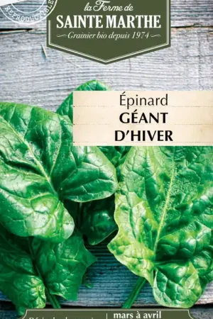 La Ferme de Sainte Marthe Spinazie "Géant d‘Hiver - Sale