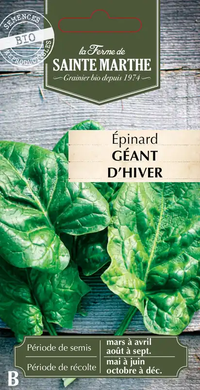 La Ferme de Sainte Marthe Spinazie "Géant d‘Hiver - Sale