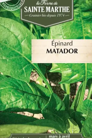 La Ferme de Sainte Marthe Spinazie "Matador" | Direct beschikbaar