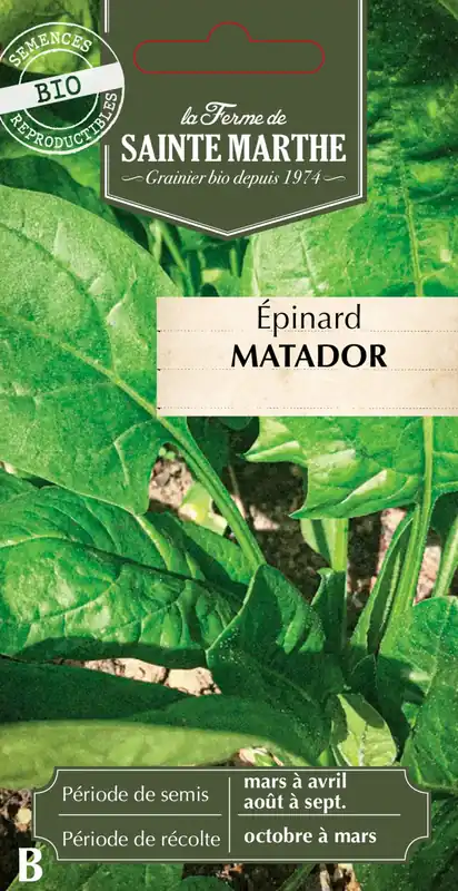 La Ferme de Sainte Marthe Spinazie "Matador" | Direct beschikbaar
