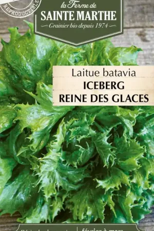 La Ferme de Sainte Marthe IJsbergsla "Iceberg Reine des Glaces" | Koop vandaag