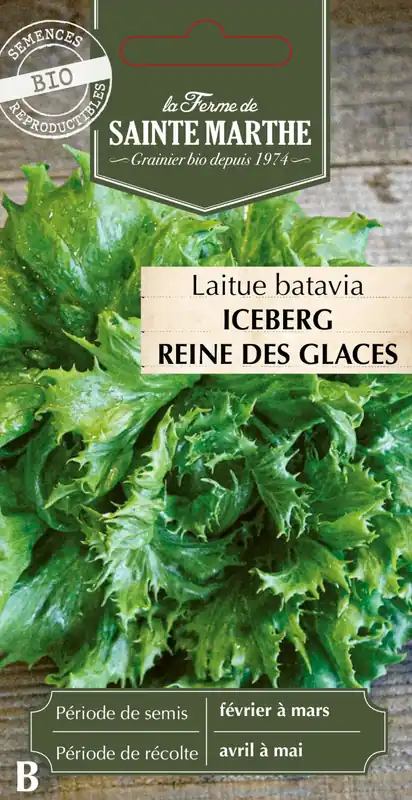 La Ferme de Sainte Marthe IJsbergsla "Iceberg Reine des Glaces" | Koop vandaag