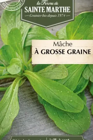 Direct bestellen - La Ferme de Sainte Marthe Veldsla "à Grosse Graine"