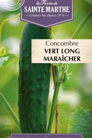 Tijdelijk aanbod - La Ferme de Sainte Marthe Komkommer "Vert Long Maraîcher"