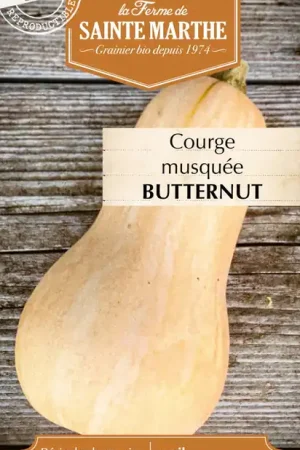 Online bestellen | La Ferme de Sainte Marthe Pompoen "Musquée Butternut"