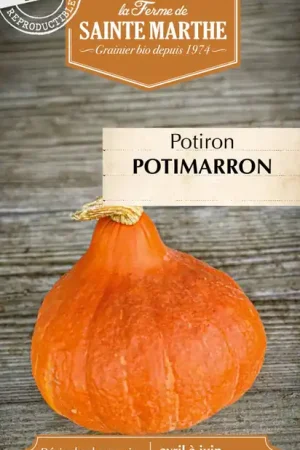 La Ferme de Sainte Marthe Pompoen "Potimarron" | Beperkte voorraad