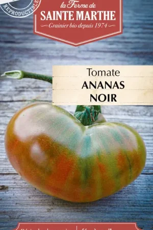 Klantfavoriet - La Ferme de Sainte Marthe Tomaat "Ananas Noir"