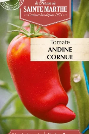Nieuw - La Ferme de Sainte Marthe Tomaat "Andine Cornue"