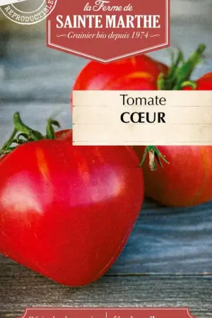 La Ferme de Sainte Marthe Tomaat "Cœur" | Net binnen