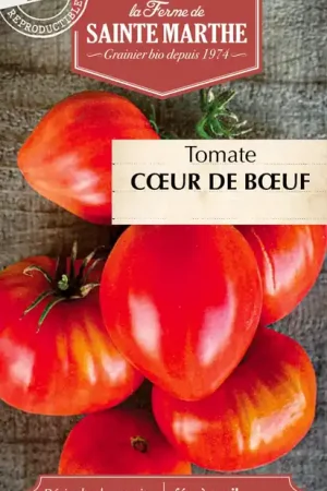 La Ferme de Sainte Marthe Tomaat "Cœur de Bœuf" - Speciale aanbieding