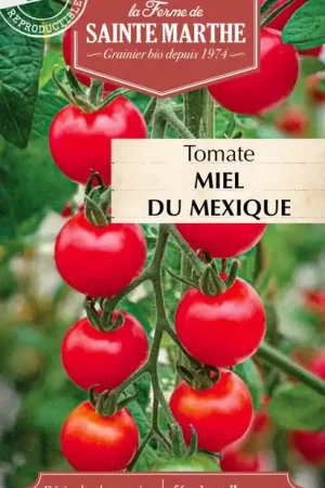 Meest verkocht | La Ferme de Sainte Marthe Tomaat "Miel du Mexique"