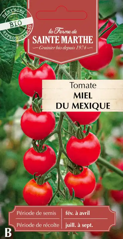 Meest verkocht | La Ferme de Sainte Marthe Tomaat "Miel du Mexique"