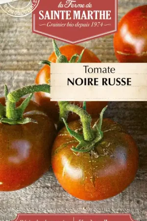 Online kopen - La Ferme de Sainte Marthe Tomaat "Noire Russe"