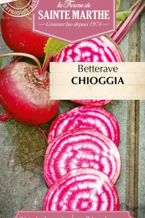 La Ferme de Sainte Marthe Rapen "Chioggia" | Extra voordeel