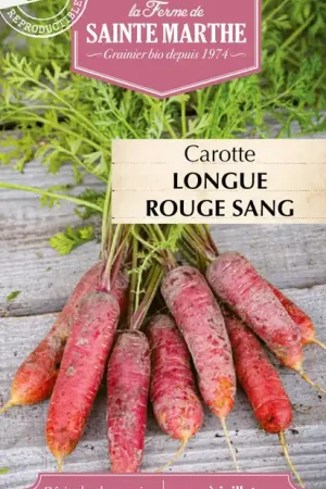 Favoriet van klanten | La Ferme de Sainte Marthe Wortel "Longue Rouge Sang"
