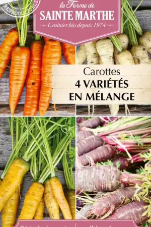 La Ferme de Sainte Marthe Wortel Mix | Hoge kwaliteit