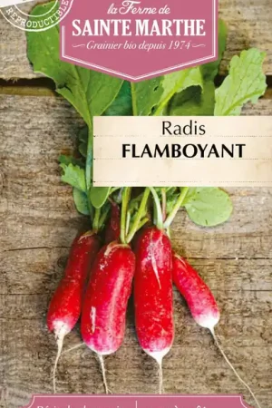 Nu beschikbaar - La Ferme de Sainte Marthe Radijs "Flamboyant 2