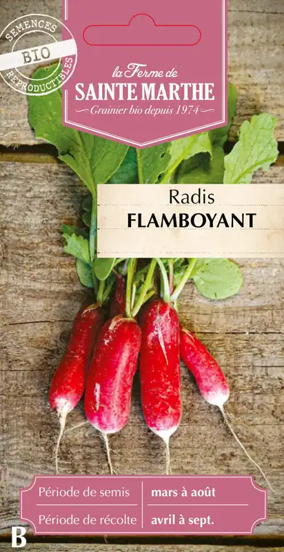Nu beschikbaar - La Ferme de Sainte Marthe Radijs "Flamboyant 2