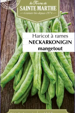 La Ferme de Sainte Marthe Boon "Neckarkonigin Filet Sans Fil Mangetout" - Expreslevering