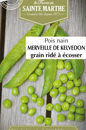 La Ferme de Sainte Marthe Dwergerwten "Merveille de Kelvedon Grain Ridé à Écosser" | Voordeelprijs