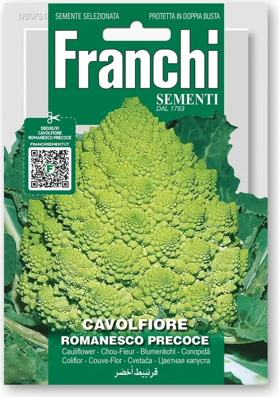 Bijna uitverkocht - Franchi Sementi Bloemkool "Romanesco Precoce"