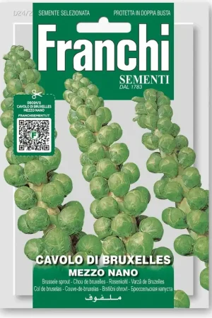 Voordelig - Franchi Sementi Spruiten "Mezzo Nano"