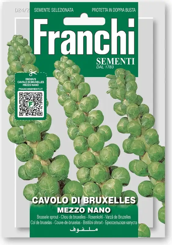 Voordelig - Franchi Sementi Spruiten "Mezzo Nano"