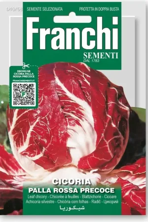 Laatste stuks | Franchi Sementi Witlofsalade "Palla rossa Precoce"