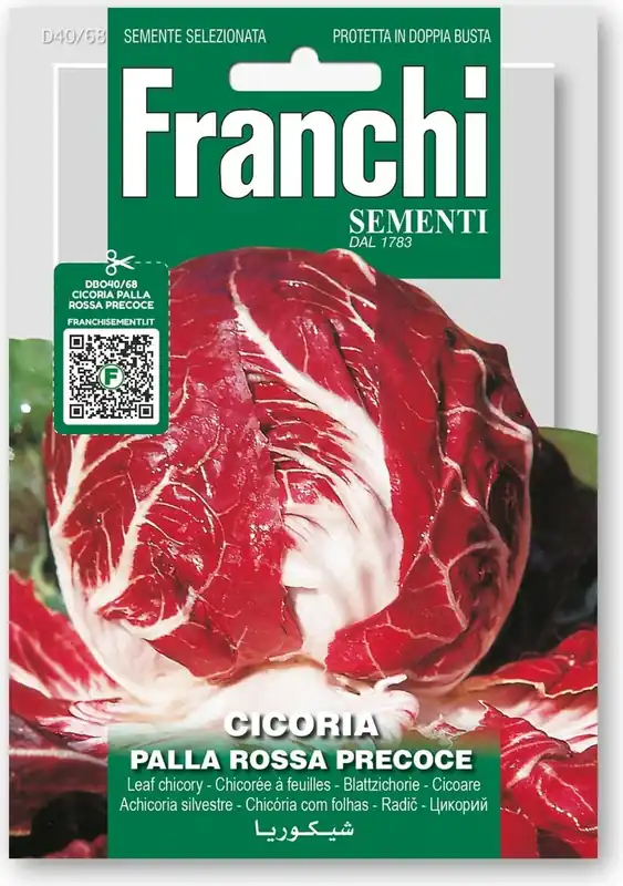 Laatste stuks | Franchi Sementi Witlofsalade "Palla rossa Precoce"