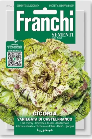 Verlaagde prijs | Franchi Sementi Witlof "Variegato di Castelfranco"